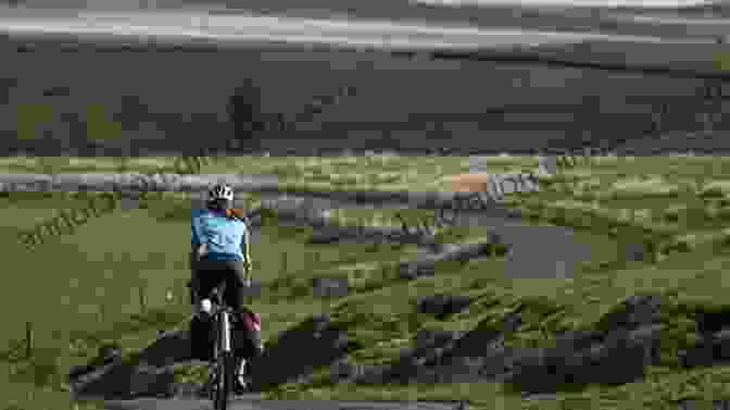 A Cyclist Riding Along The Scenic Hadrian Cycleway, With Rolling Hills And The Firth Of Forth In The Distance Hadrian S Cycleway Coast 2 Coast