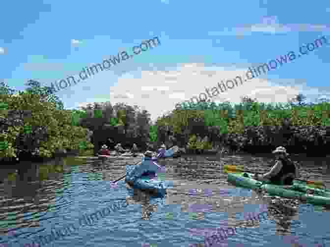 A Group Of Kayakers Explore A Winding River, Surrounded By Dense Forests And Towering Mountains Paddling Southern Florida: A Guide To The State S Greatest Paddling Areas (Paddling Series)