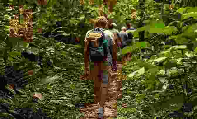 A Group Of Travelers Hiking Through A Lush Rainforest Handbook Of Sustainable Travel D C Robinson