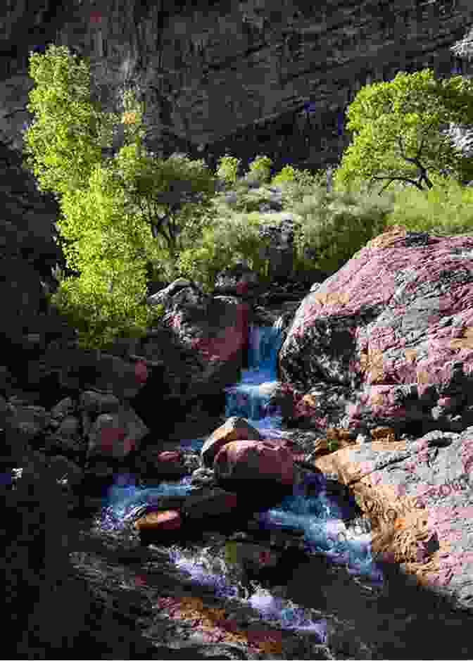 A Hiker On The North Bass Trail In Grand Canyon National Park The 10 Best Hikes In Grand Canyon National Park: The Greatest Hikes On Earth