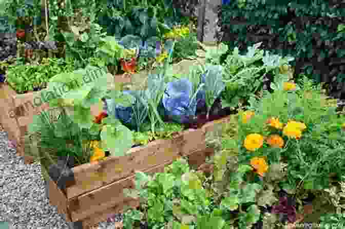 A Thriving Vegetable Garden With Lush Green Plants And Colorful Vegetables Sidney String Bean : With A Little Help From My Friends (Happy Garden Happy Veggies EBook 8)