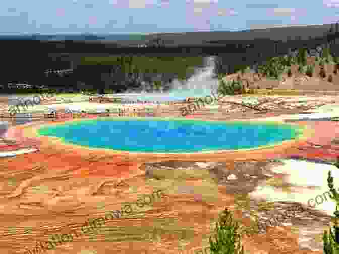 Hikers Admiring The Vibrant Colors Of Grand Prismatic Spring From The Overlook The 10 Best Hikes In Yellowstone National Park: The Greatest Hikes On Earth