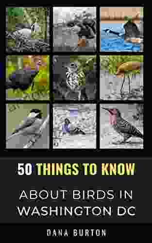 50 Things To Know About Birds In Washington District Of Columbia : Birding In The Nation S Capital (50 Things To Know About Birds United States)