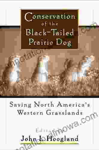 Conservation Of The Black Tailed Prairie Dog: Saving North America S Western Grasslands