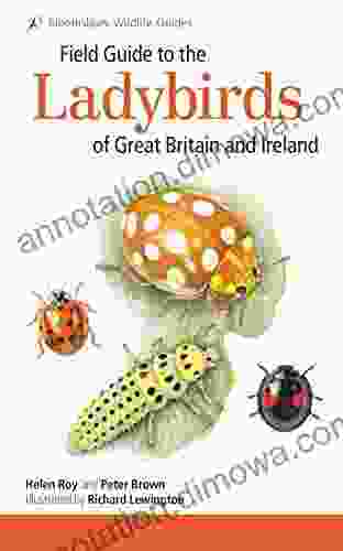 Field Guide to the Ladybirds of Great Britain and Ireland (Bloomsbury Wildlife Guides)