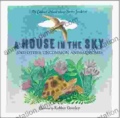 A House In The Sky