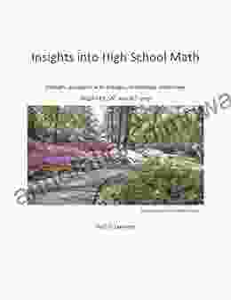 Insights Into High School Math: Contains Questions With Answers Workshops And Review