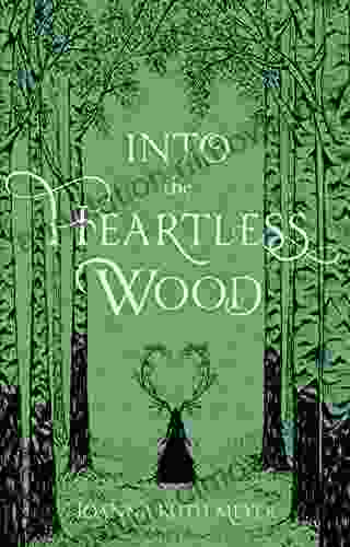 Into The Heartless Wood Joanna Ruth Meyer