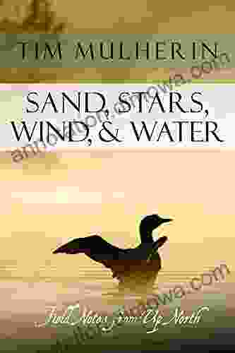 Sand Stars Wind Water: Field Notes from Up North