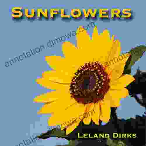 Sunflowers: Photos Facts And Fictions