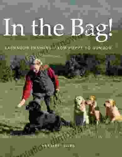 In The Bag : Labrador Training From Puppy To Gundog