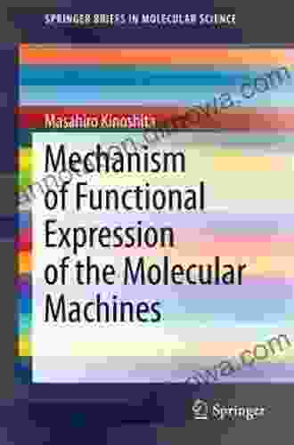 Mechanism Of Functional Expression Of The Molecular Machines